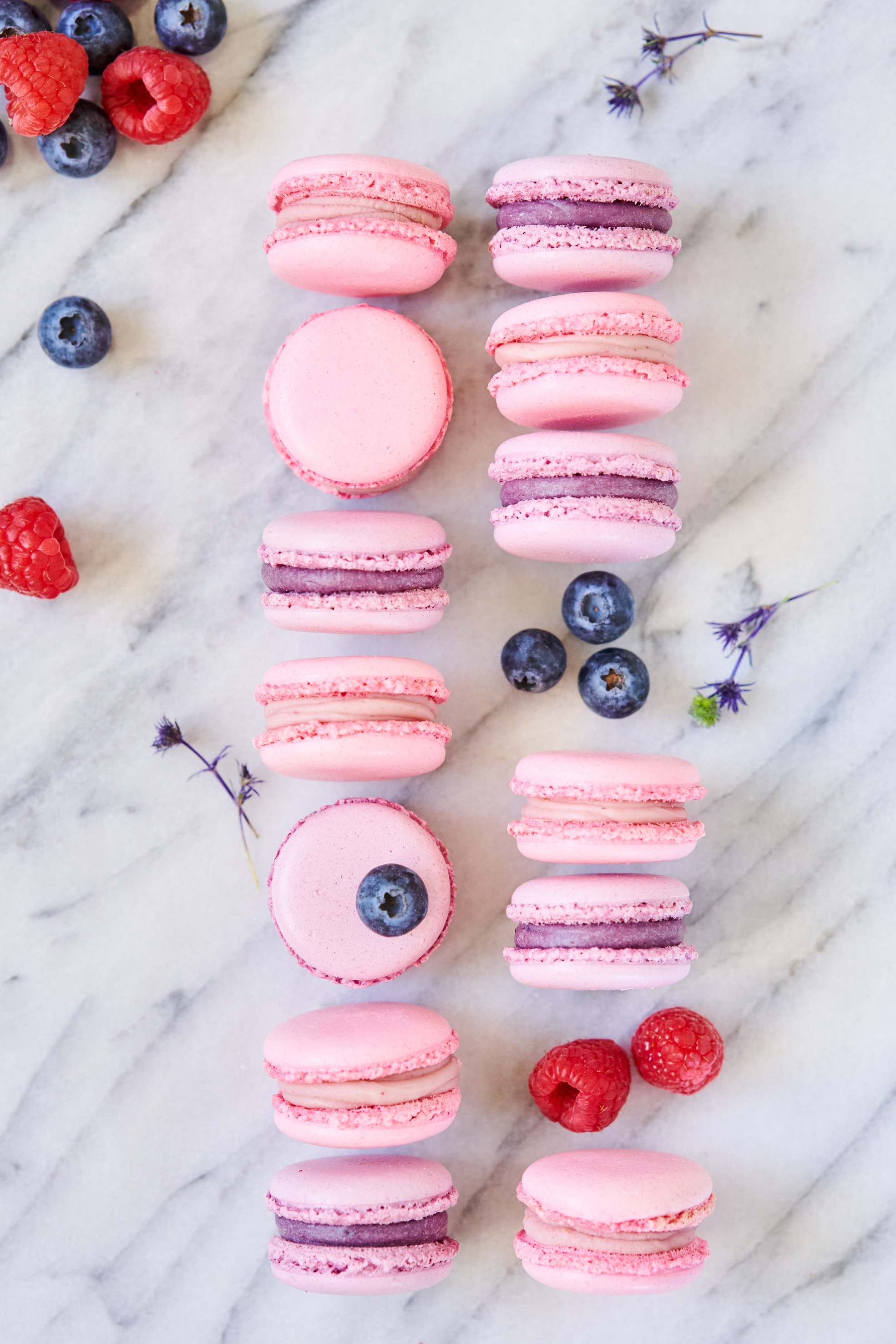 COMING SOON Herbst 2026 Patisseresi - Bild 10