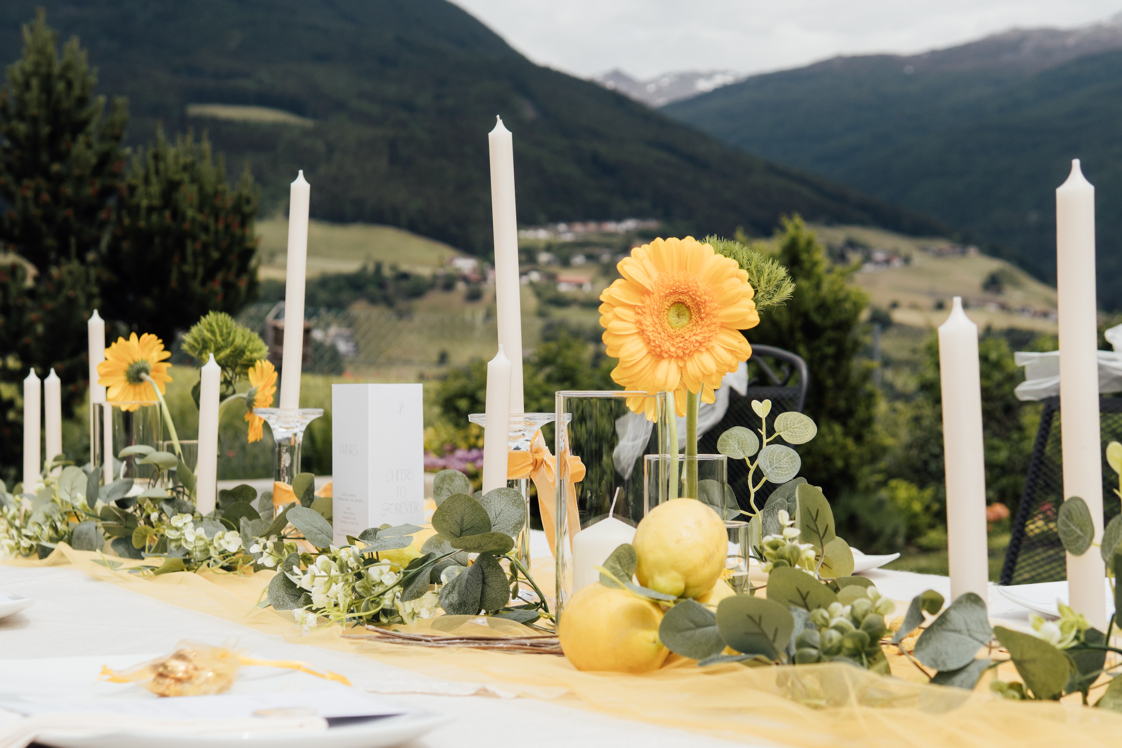 DECORA - Bild 8
